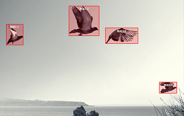 风暴平台登录视频标注